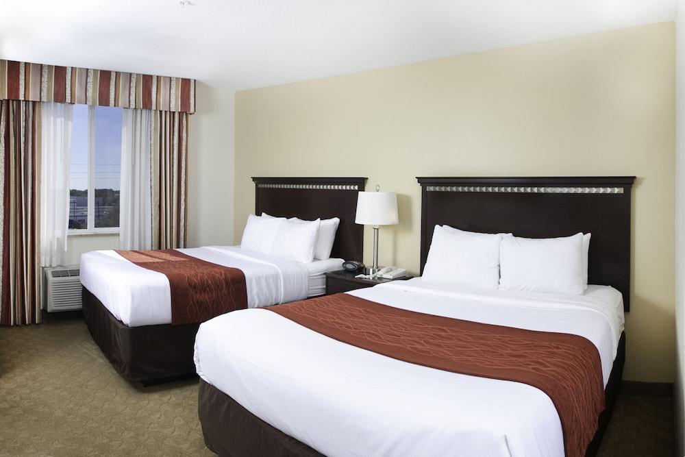 Comfort Suites Tampa Airport North Exterior foto