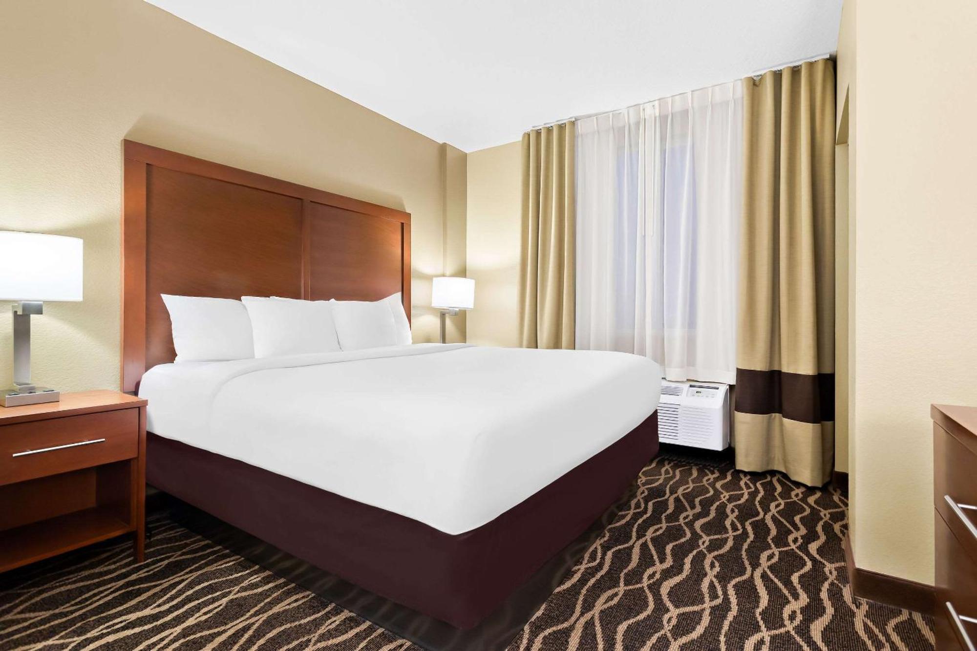 Comfort Suites Tampa Airport North Exterior foto