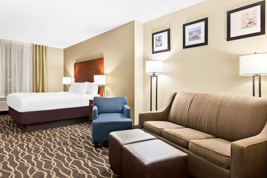Comfort Suites Tampa Airport North Habitación foto