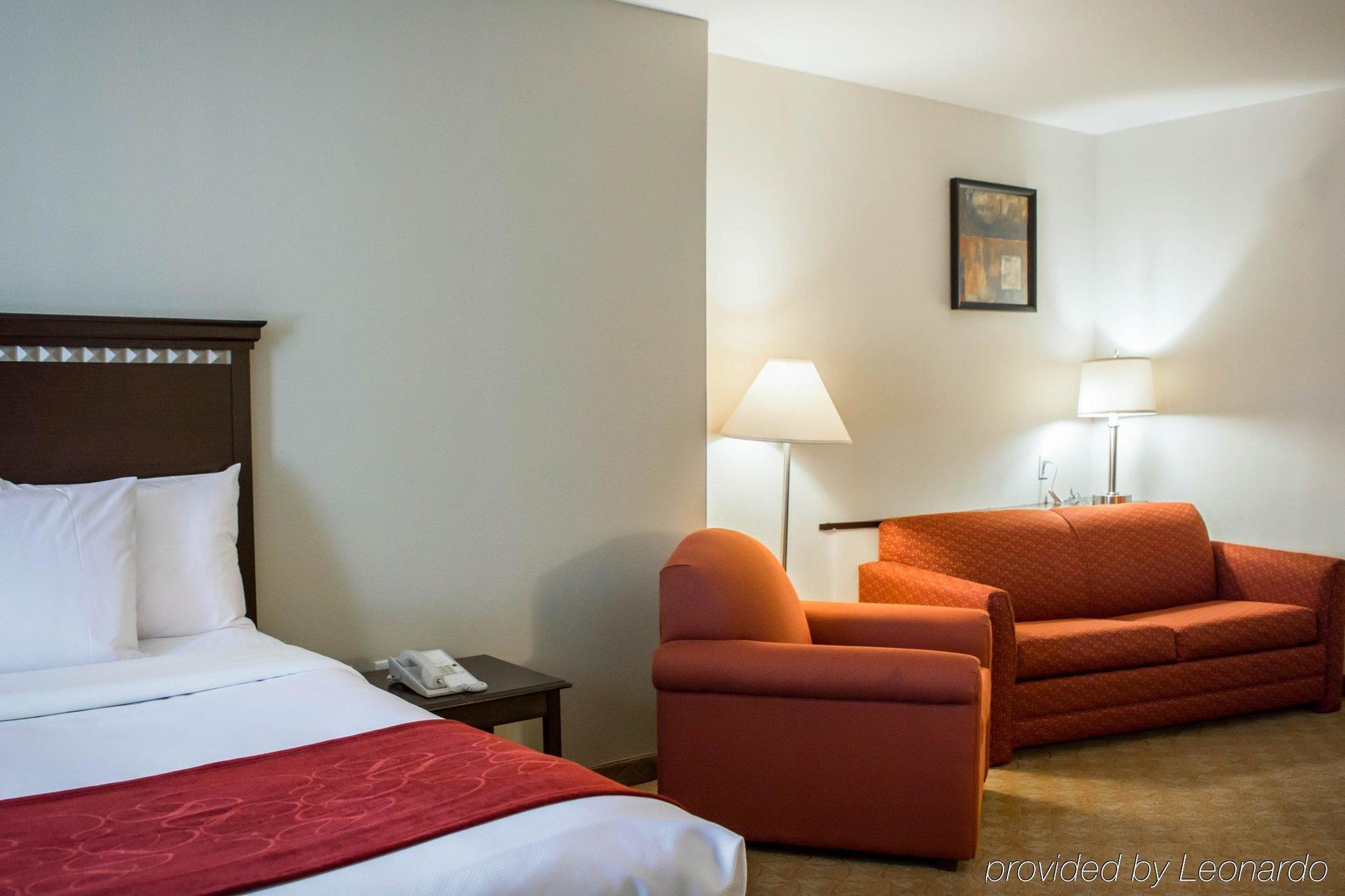 Comfort Suites Tampa Airport North Exterior foto