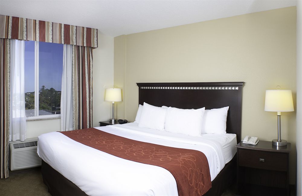 Comfort Suites Tampa Airport North Exterior foto